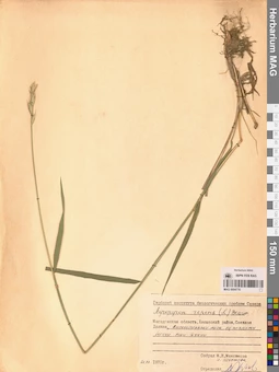 MAG 0004778