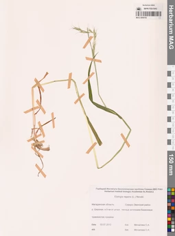 MAG 0004783