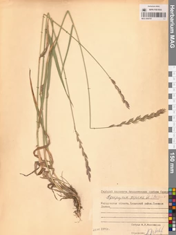 MAG 0004787