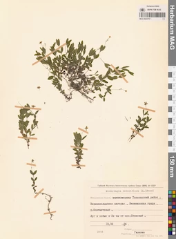MAG 0023757
