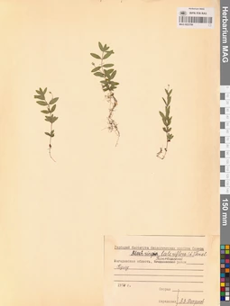 MAG 0023789