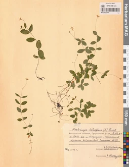 MAG 0023794
