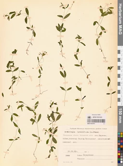 MAG 0023814
