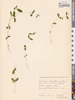MAG 0023820