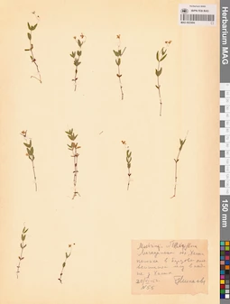 MAG 0023694