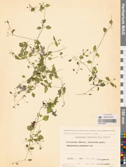MAG 0023857