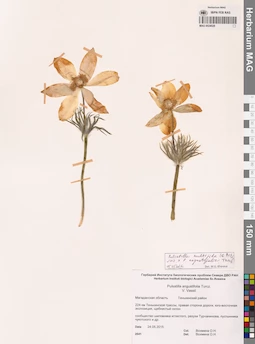 MAG 0024028