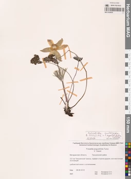 MAG 0024030