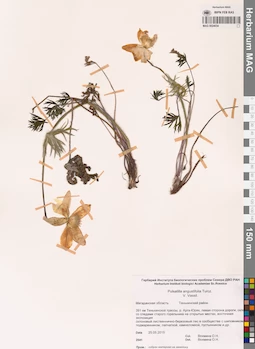 MAG 0024034