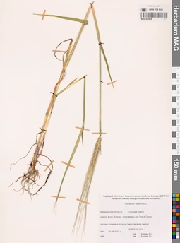 MAG 0024058