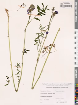 MAG 0023930