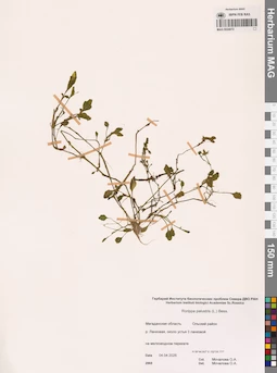MAG 0024072