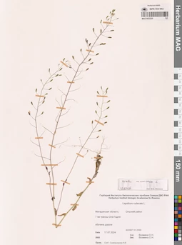 MAG 0022220
