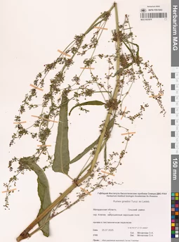 MAG 0023878