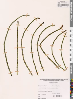 MAG 0023948