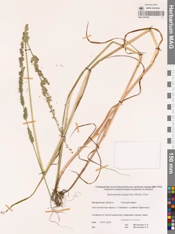 MAG 0023955