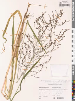 MAG 0023970