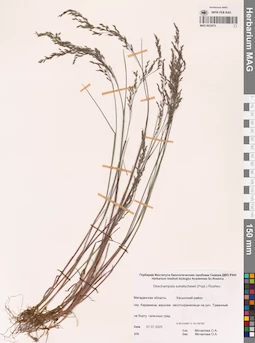MAG 0023975