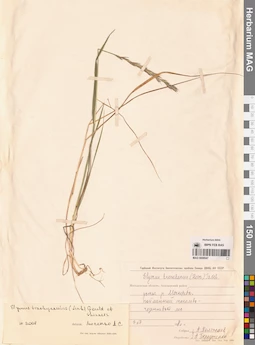 MAG 0008947