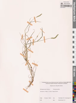 MAG 0024154