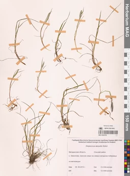 MAG 0024159