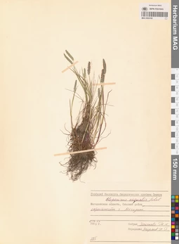 MAG 0024165