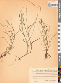 MAG 0024179