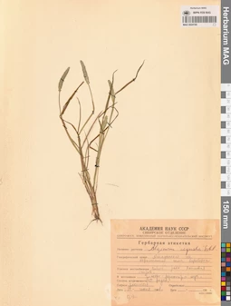 MAG 0024180