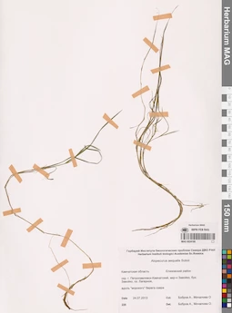 MAG 0024188