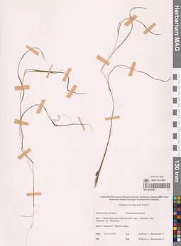 MAG 0024189