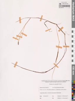 MAG 0024192