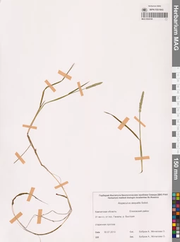 MAG 0024195