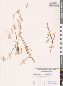 MAG 0024198