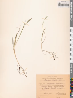 MAG 0024206