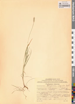 MAG 0024226