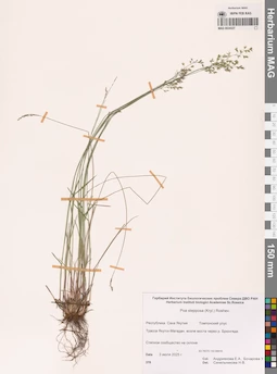 MAG 0024327
