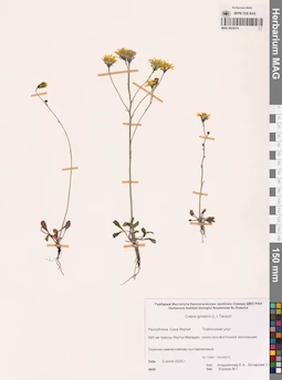 MAG 0024374