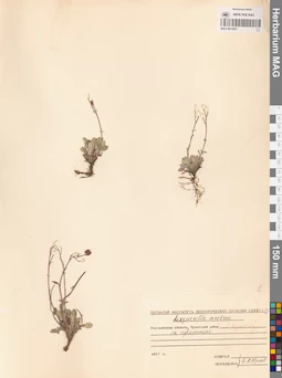 MAG 0012661
