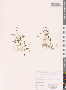 MAG 0024416