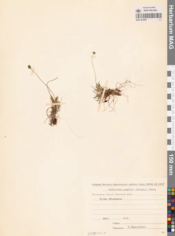 MAG 0024881