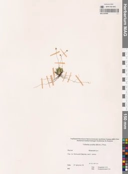 MAG 0024888