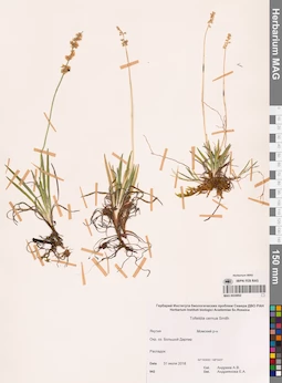 MAG 0024892