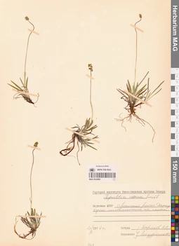 MAG 0024894
