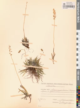 MAG 0024897