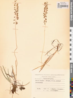 MAG 0024902