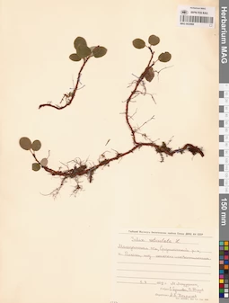 MAG 0024969